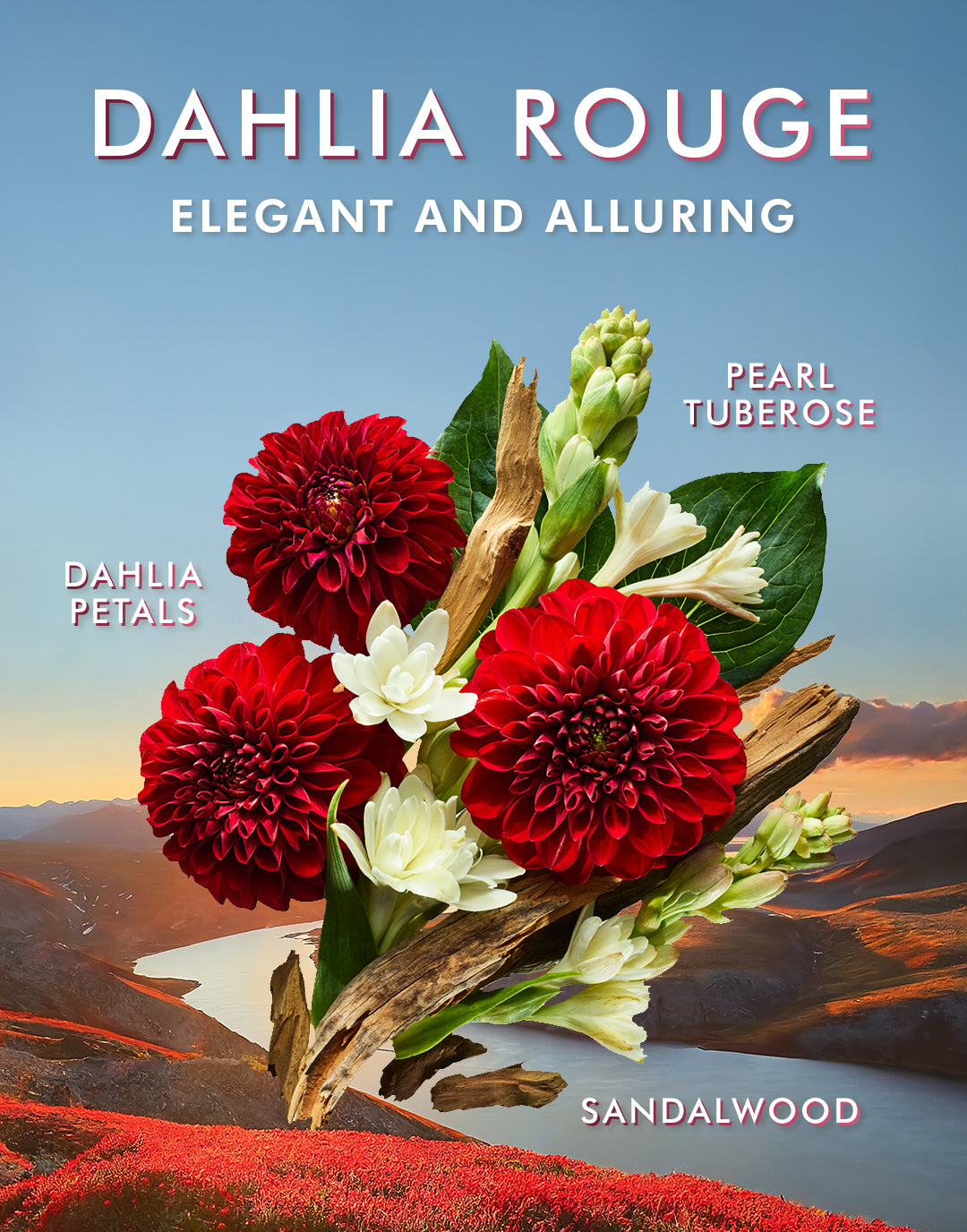 Hand Wash Dahlia Rouge - Image 4