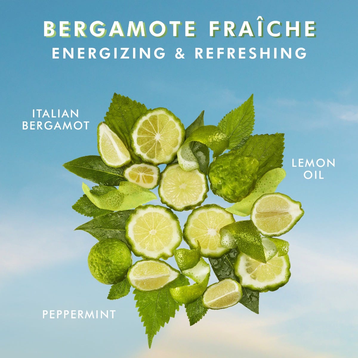 Hand Wash Bergamote Fraîche - Image 4