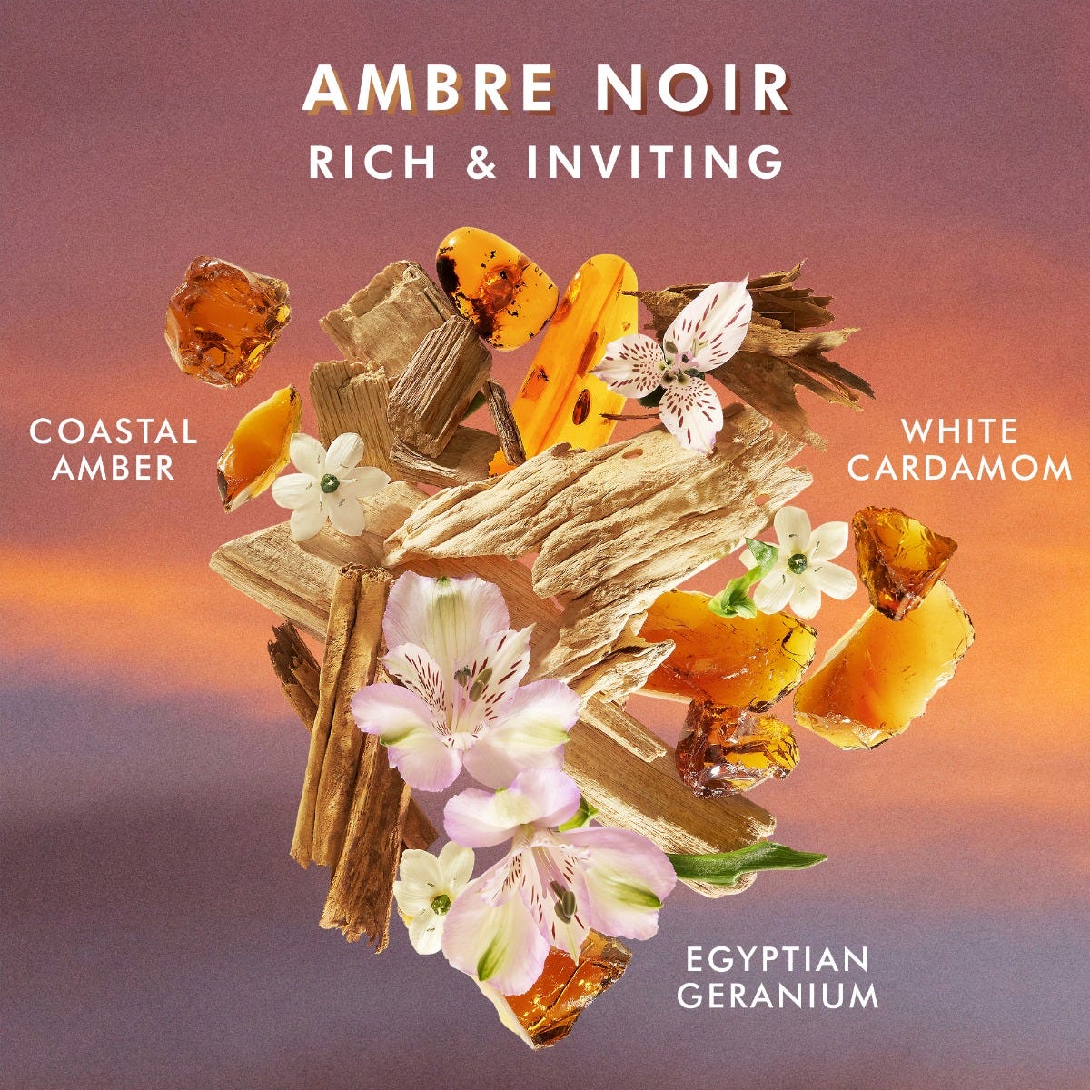 Shower Gel Ambre Noir - Image 4